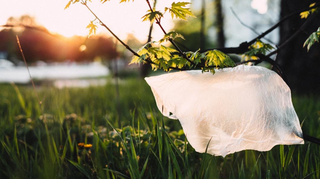Plastic Natuur