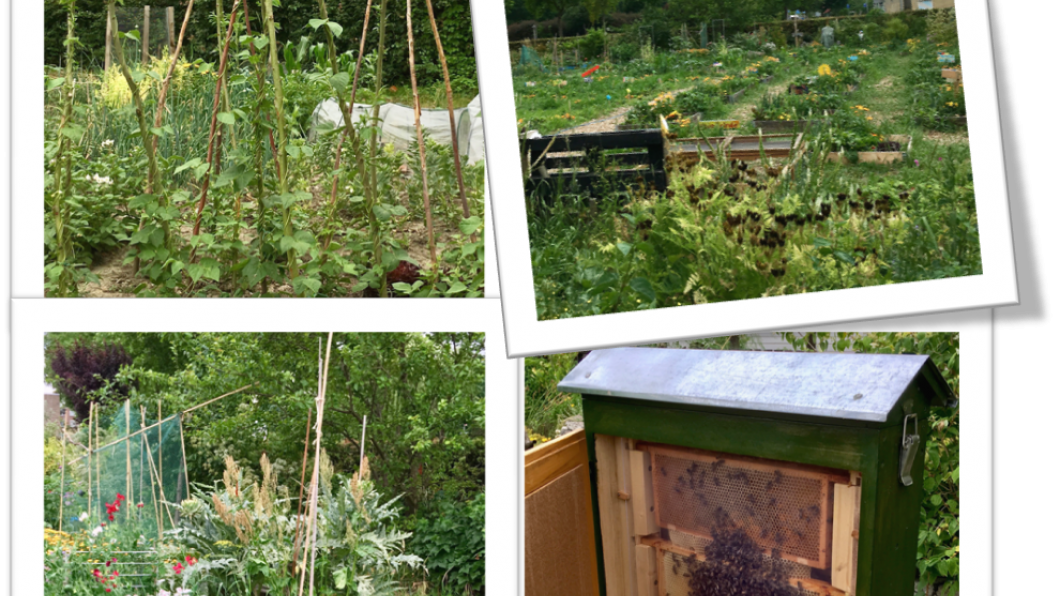 Wijktuin Noordhive Wijktuin Noordhove
