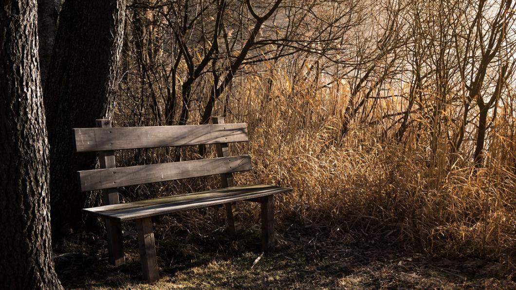 bench-1190768_1920.jpg