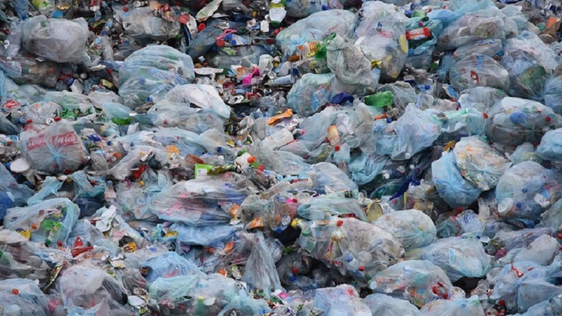 waste-1741127_1280.jpg